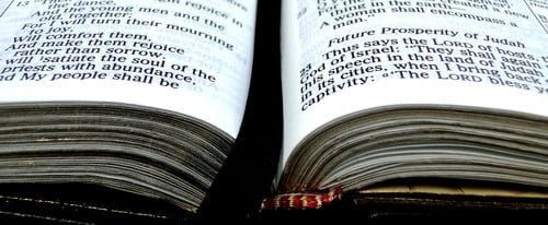 Visit Our Library Web Catalogue
