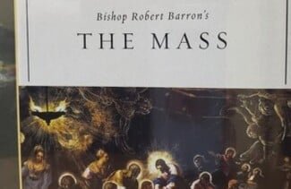 Bishop Robert Barron's The Mass
