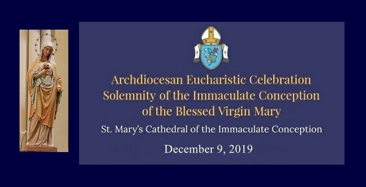 Solemnity of the Immaculate Conception of the Blessed Virgin Mary photo album